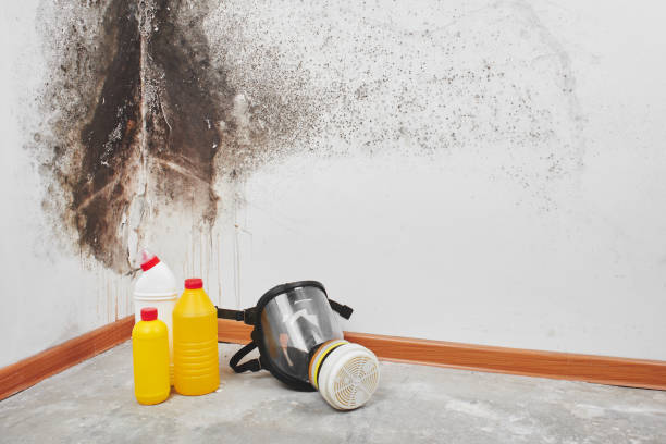 Best Crawl Space Mold Removal  in Eagle Lake, FL